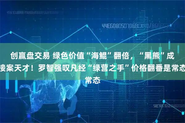 创赢盘交易 绿色价值“海鲲”翻倍，“黑熊”成接案天才！罗智强叹凡经“绿营之手”价格翻番是常态