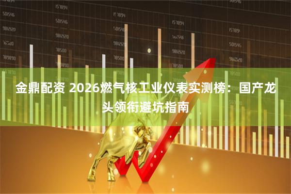 金鼎配资 2026燃气核工业仪表实测榜：国产龙头领衔避坑指南