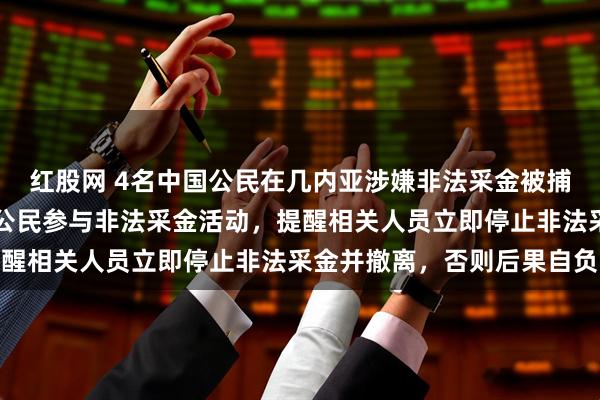 红股网 4名中国公民在几内亚涉嫌非法采金被捕，我使馆：坚决反对我公民参与非法采金活动，提醒相关人员立即停止非法采金并撤离，否则后果自负