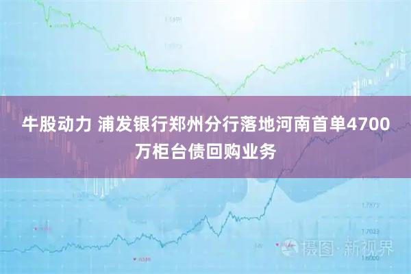 牛股动力 浦发银行郑州分行落地河南首单4700万柜台债回购业务