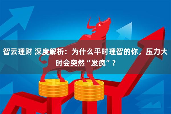 智云理财 深度解析：为什么平时理智的你，压力大时会突然“发疯”？