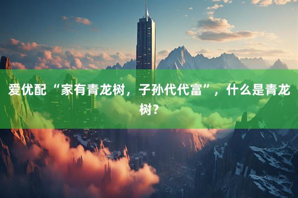 爱优配 “家有青龙树，子孙代代富”，什么是青龙树？